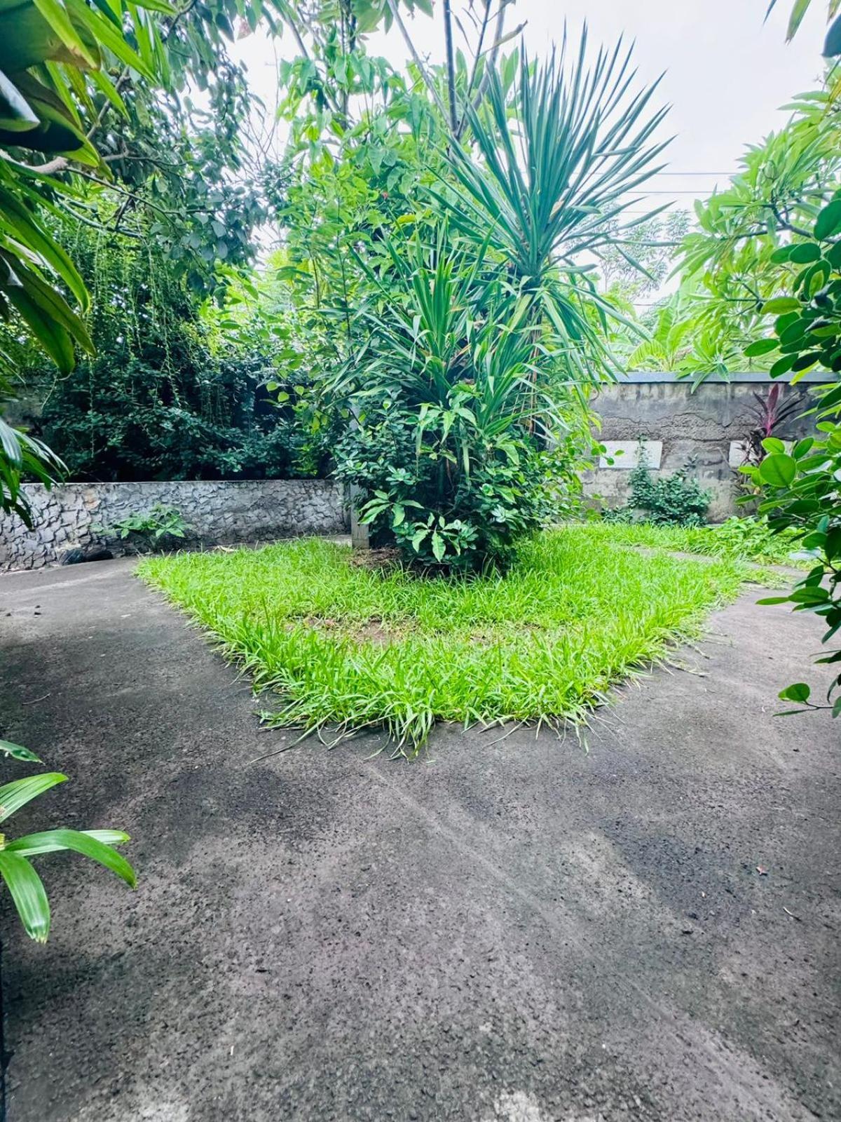 Putu Guest House Pemuteran Exterior foto