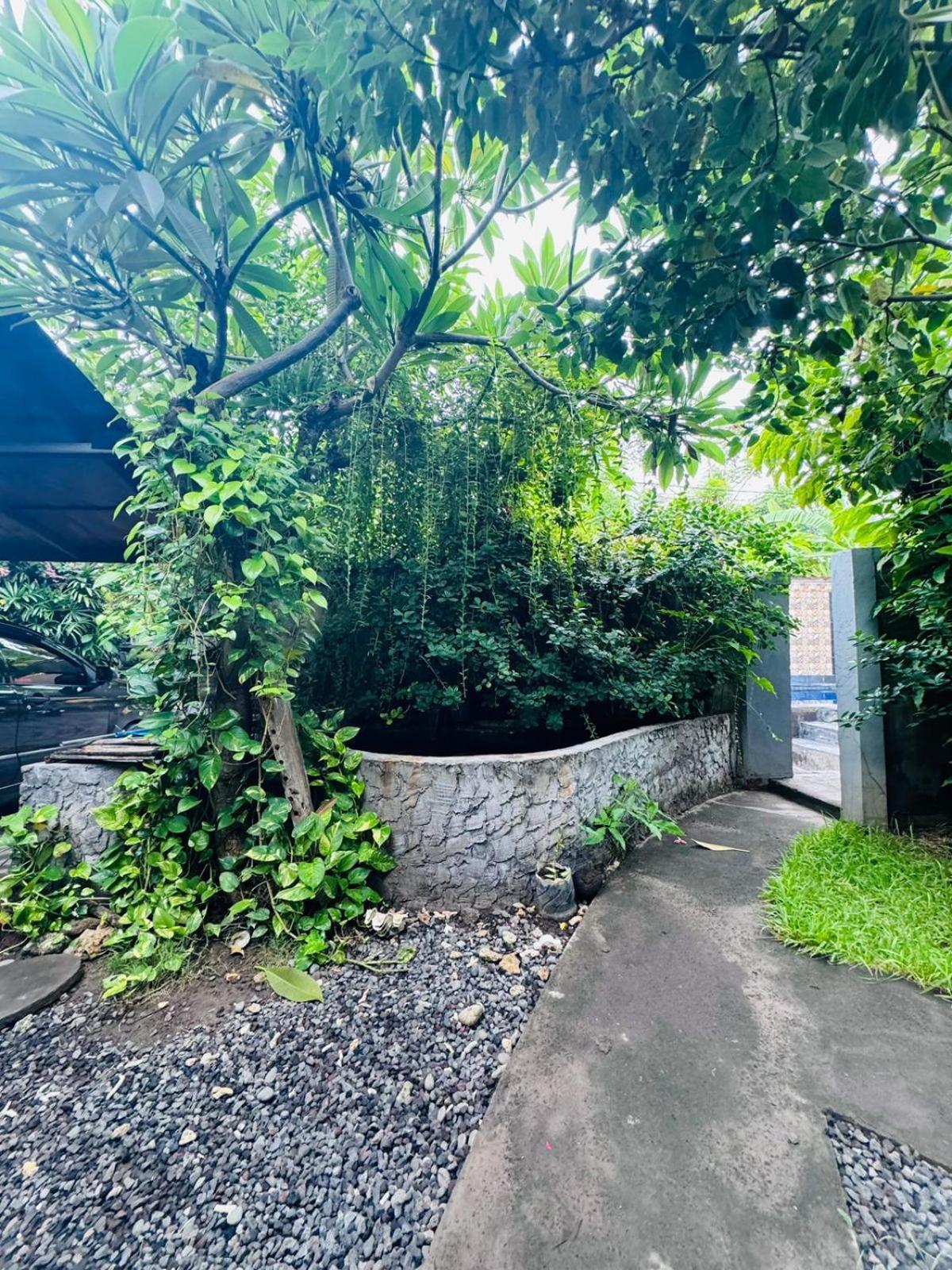 Putu Guest House Pemuteran Exterior foto